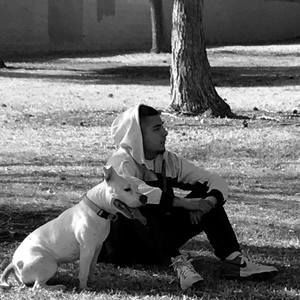 Meet your Posher, Frank